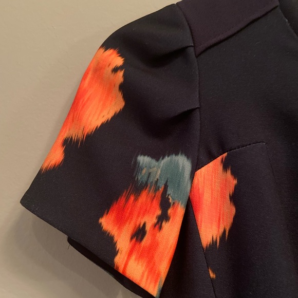 [Anthropologie] McGinn Poppy Palate Dress, Size 0 - Picture 5 of 12